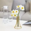 Vasen Nordic Creative Glass Flower Vase Gold Pflanzer Töpfe Hydroponische Dekoration für Wohnzimmer TV -Schrank Tabletop