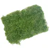 Decorative Flowers Moss Block Flocking Turf Display Window Garden Diy Landscaping Micro Landscape Art Decoration Green Lawn