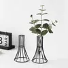 Vasen Nordic Creative Glass Flower Vase Gold Pflanzer Töpfe Hydroponische Dekoration für Wohnzimmer TV -Schrank Tabletop