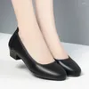 Elbise ayakkabıları kadın siyah sığ ağız alçak topuklular bahar sonbahar moda yuvarlak kafa kalın topuklu hafif iş ofisi single