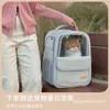 Cat Carriers Backpack Pet Bag Travel Dog/Cat Levert transparant grote capaciteit draagbaar