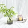 Вазы Шиюань ваза Light Luxury Design Образец комната подсвечника стеклянная крышка