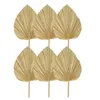 Dekorative Blumen 6pcs getrocknete Palmblätter natürlicher Fans großer Speer für Boho Hochzeitdekoration Tropische Dekoration