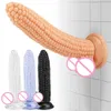 Corn Dildo Erotic Soft Jelly Strong Suction Cup Anal Butt Plug Realistic Penis G-spot Orgasm sexy Toys for Woman Adult