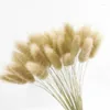 Fiori decorativi lagurus ovatus secca naturale secca erba casa decorazioni pasquale decorazioni laytail accessori per fiori oggetti pampas