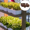 Bols plante cultiver des éponges pour une éponge intelligente intérieure du jardin avec une gousse de remplacement des nutriments