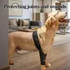 Appareils pour chiens Autonction de jambe réglable Support professionnel respirant les jambes protectrices de cuisse de cuisse