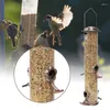 Otros suministros de aves alimentador colgante colgante tubular anti-rompina decoración de jardín al aire libre comederos bandeja para pájaros alimentos para agua de pájaro fácil instalación