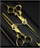 Swivel Shears 6dot0quot 2sts Sharp Dragon Handle Gold Barber Hair Scissors Set Salong Cutting Thunning Shears Frisörning Flat T4391251