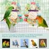 Autres aliments pour oiseaux Toys Conure suspendus naturels doux Sola Ball Bel mâchage