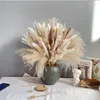 Fiori decorativi Reeds naturali bouquet di prodotti di alta qualità per la decorazione di comfort per casa miscela di mariage e soggiorno