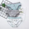 Shorts 3Pcs/lot High Quality Boy Kids Underwear Boxer Cotton Children Cartoon Underpants Toddler Baby Panties Briefs Shorts Boys 416Y