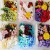 Flores decorativas 1 caixa/bolsa seca para material de diy artes de unha epóxi resina artesanato decoração de casa