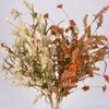 Fiori decorativi fiore secco bouquet casa decorazione di seta filo di seta piccolo pampass pampas erba autunnale asciutto artificiale