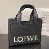 sac de luxe Cosmetic Sac fourre-tout concepteur de sacs à main pour femmes Luxury Broidered Place Sac Grass à légumes tissés de style français pour femmes
