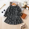 Girl Dresses 1-4 Years Toddler Born Baby Floral Dress Long Sleeve Vintage Tutu For Flower Costumes Autumn Spring Clothes