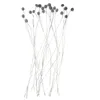 Decoratieve bloemen 20 pc's bruiloft Decor Natural Craspedia Grace Gedroogde bloem echte vaas Home Party Decors