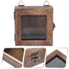 Frames vintage specimen doos frame insecten weergave case po glas voor geperste bloemen houten houderplank