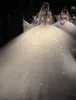 Wunderschöne Designer -Hochzeitsschleier 3,5 m lange Kathedrale Länge Ein Schicht Applikat Tüll Brautschleier für Frauen Hair Accessorie191b v413003