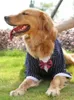 Vêtements de chien grand costume robe mariage poil