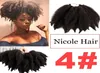 Nicole sintético de 8 polegadas afro excêntrico marly tranças de crochê extensões de cabelo 14 rootspc fibra de alta temperatura Marley Braid 1919270