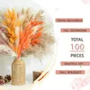 Decorative Flowers Dried Reed Bouquet Reusable Natural Grass Kit For Autumn Wedding Decor 100pcs/set Leaf Ideal Room Home