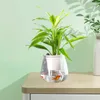 Vases DIY Vase Flower Potted Green Plantes Absorption d'eau Plastiques Transparent Double couche Ornements de bureau décorations