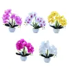 Decorative Flowers Artificial Butterfly Orchid Potted Bonsai Fake Plants Pography Prop For Bedroom Living Room Decoration