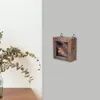 Frames vintage specimen doos frame insecten weergave case po glas voor geperste bloemen houten houderplank