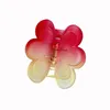 Accessoires de cheveux Small Candy Color Flower Catch frange Clip Clip Clip Hair