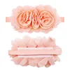 Abbigliamento per cani 30pcs Flower Bowties per chiffon Grande cravatte cani animali domestici Accessori per la toelettatura