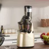 Juicers Juicer -maskin, långsam masticering av juicepress med 3,2 tums stor foderrännor, kallpresssaftare för grönsaker med hög näringsämnen