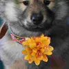 犬アパレル弓猫襟装飾花ペットアクセサリー子犬のグルーミングアクセサリー花柄