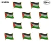Знаки для пин -штифтов палестинного флага Знаки Брохона