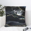 Oreiller Night Masculine Marble Paysages d'oreiller décorations de couverture d'oreiller Nordic Style Throw Case siège carré 40cm