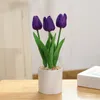 Fleurs décoratives réalisatrices artificielles tulipes en pot fausses arbre arbre superbes couleurs idéales pour le bureau à domicile et les améliorations extérieures