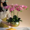 Decorative Flowers White Moth Orchid (1 Set DIY) Flower Arrangment (5PCS Moss 3PCS Leaves Pot) Butterfly Decoration Centerpiece