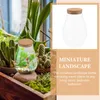 Vases Micro Landscape Ecological Bottle Ellipse Vase Container Bryophyte Glass Jar Plants Terrarium Betta Hydroponic Decor For