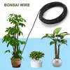 Kommen 10 bonsai draden geanodiseerde aluminium trainingsdraad in 5 maten - 1,0 mm 1.5 2.0 2.5 3.0 zwart