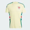 Wales JOHNSON soccer jersey 2024 Cymru National Team Men Home Away Football Shirts Kit Full Set Uniform BROOKS WILLIAMS DAVIES BROOKS WILSON AMPADU