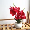 Fiori decorativi fiore artificiale a doppio taglio falaenopsis bonsai ornamenti creativi in vaso