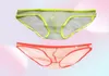 Underpants Full Transparent Men Underwear Briefs Gauze Male Viscose Panties Sexy Lingerie See Through Cueca Gay Plus Size Slips Ho4846695