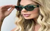 Sunglasses Small Cat Eye For Women Vintage Sun Glasses Chic Elegant Gradient Eyewear Female Ins ShadesSunglassesSunglasses2586519