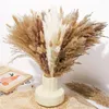 Decorative Flowers Pampas Grass Boho Room Decor White Pompas Floral Bouquet Fluffy Dry Flower 120Pcs 17 Inch Style Material Model Number