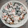 ur. Pography props Bunny Doll Buntted Mohair Cartoon Rabbit Doll Toy Fotografia Akcesoria Studio Pęsień