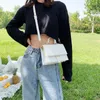 Bag Stone Muster Totes Mini PU Leder Crossbody Taschen für Frauen 2024 Einfache Reisebereich Sommer -Fashion -Schulterhandtaschen und Geldbörsen