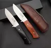 RW Survival Straight Knife D2 Satin Drop Point Blade Full Tang Rosewood Handle Couteaux Fixed Sheet en cuir 273M4243573