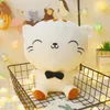 Оптовая мультипликационная выражение выражение Doodle Big Face Cat Plush Toy Doll Little Cat Doll's Kids's Gitledent Gift Diftow