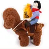 Dog Apparel Cowboy Rider Costume: Dogs Outfit Knight Style Hat Christmas Costume Po Props Halloween Kids