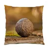 Pillow Cover Living Room Decoration Home Decor Velvet 45x45 Throw Covers Natural Bed Snow Mountains E1346